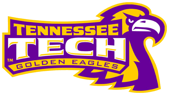 Tennessee Tech Golden Eagles 2006-Pres Alternate Logo v3 iron on transfers for fabric